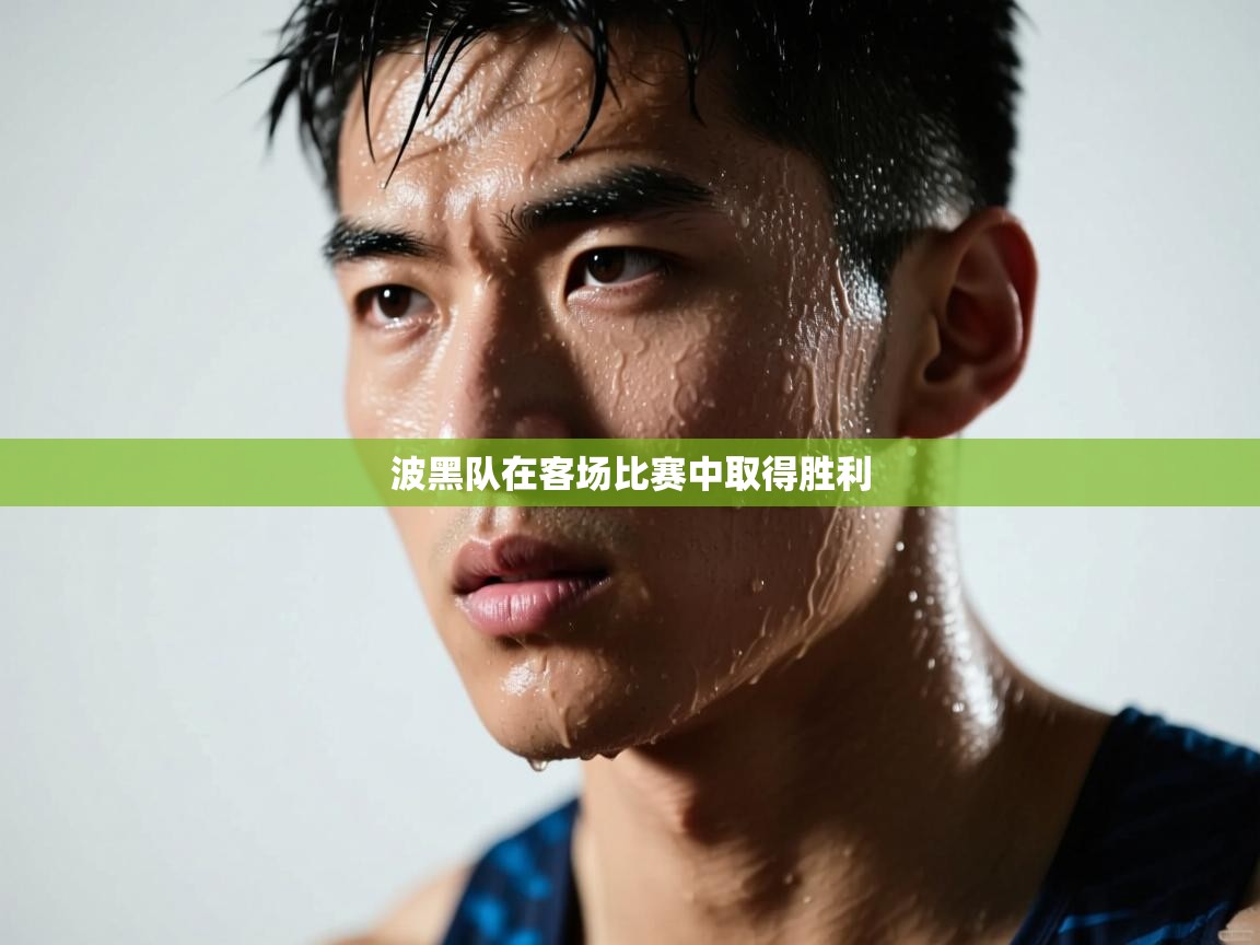 波黑队在客场比赛中取得胜利