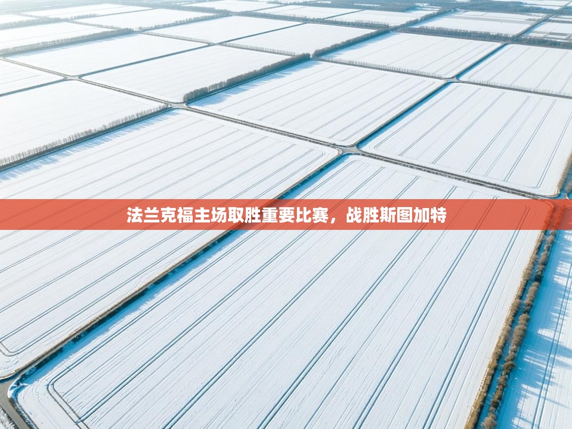 法兰克福主场取胜重要比赛，战胜斯图加特  第2张